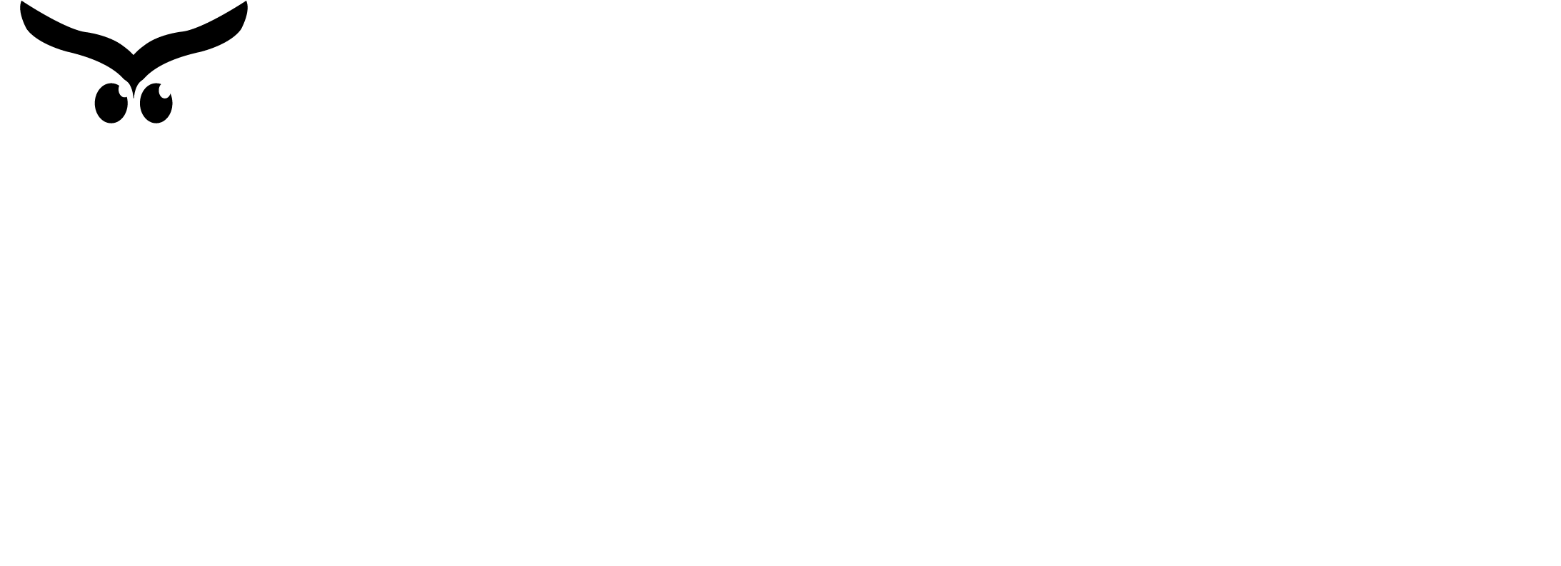Owl Learning Solutions
